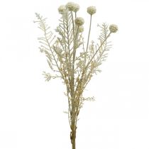 Kuivat ruohot keinotekoinen pampasruoho allium kerma, beige H60cm
