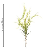 kohteita Vihreäharjaksinen hirssitekoinen kasvi elegantteihin roikkuviin koristeisiin, tyylikkäisiin huoneen yksityiskohtiin, 114 cm