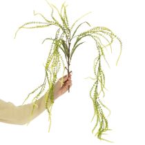 kohteita Vihreäharjaksinen hirssitekoinen kasvi elegantteihin roikkuviin koristeisiin, tyylikkäisiin huoneen yksityiskohtiin, 114 cm