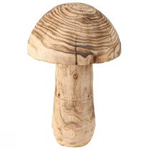 kohteita Iso puinen koristeellinen sienipuu Paulownia Ø21cm K33cm