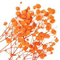 kohteita Vauvanhengitys kuivakukkakimppu Gypsophila 75cm 100g