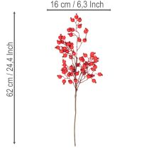 kohteita Keinotekoinen ruusunmarjan oksa kiiltävillä marjoilla, 62cm