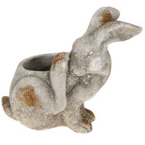 kohteita Kanin koristeellinen betonikukkaruukku antiikkiharmaa 33,5x17x29,5cm
