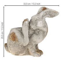 kohteita Kanin koristeellinen betonikukkaruukku antiikkiharmaa 33,5x17x29,5cm