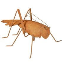 kohteita Heinäsirkka Puutarhakoristeet Ruostemetallikoristeet seisomaan 26cm