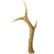 kohteita Peuran sarvikoriste, keinotekoiset sarvet, pöytäkoriste 28 × 14 cm