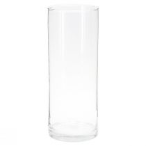 kohteita Korkea lasimaljakko lasisylinterinen kukkamaljakko kirkas Ø12cm K30cm