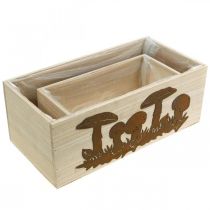 kohteita Istutuskasetti, puiset laatikot sienillä, syyskoristepatina L40/30cm 2 kpl setti