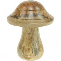Puinen sieni uralla Syksyn deco sieni luonnon mangopuu 10×Ø8cm