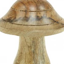 Puinen sieni uralla Syksyn deco sieni luonnon mangopuu 10×Ø8cm