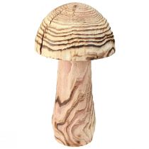 kohteita Puinen sieni seisomaan koristeellinen sienipuu Paulownia Ø15cm K28cm