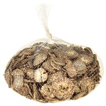 kohteita Puiset viipaleet, koristeelliset hedelmäpuun hedelmät, luonnolliset, DIY, FSC, 1-3,5 cm, 300 g