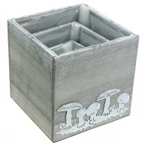 kohteita Puinen kuutio sienillä, syksyn koristelu, istutuslaatikko 20/16/12cm 3 kpl setti