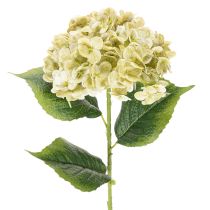 kohteita Keinotekoinen hortensiakukka pitkällä varrella ja lehdillä, 60 cm