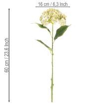 kohteita Keinotekoinen hortensiakukka pitkällä varrella ja lehdillä, 60 cm