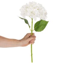 kohteita Tekohortensia pitkällä varrella koristeeksi, 48 cm