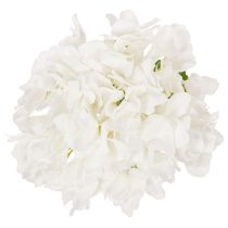 kohteita Tekohortensia pitkällä varrella koristeeksi, 48 cm