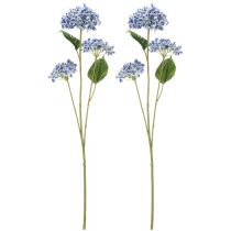 kohteita Hortensian kukinta-oksa tyylikkääseen kodin sisustukseen, 80 cm, 2 kpl