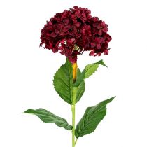 kohteita Hortensia keinotekoinen tummanpunainen 80cm 1kpl