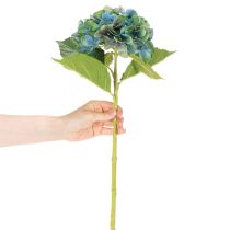 kohteita Tekohortensia, sinivihreä, koristeellinen yksivartinen, 53 cm