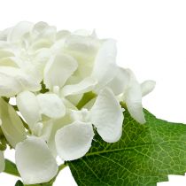 Hortensia 33cm valkoinen 1p