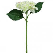 Hortensia, silkkikukka, tekokukka pöytäkoristeisiin valkoinen, vihreä L44cm