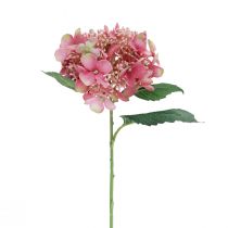 kohteita Hortensia keinotekoinen vaaleanpunainen ja vihreä puutarhakukka silmuilla 52cm