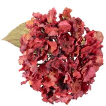kohteita Keinotekoinen hortensian kukintaoksa, suuri kukinta, 74 cm