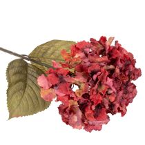 kohteita Keinotekoinen hortensian kukintaoksa, suuri kukinta, 74 cm