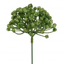 Hortensia Nuppu Pick 22cm Vihreä 12kpl