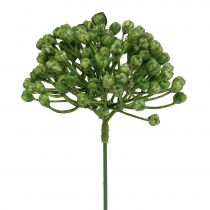 kohteita Hortensia Nuppu Pick 22cm Vihreä 12kpl