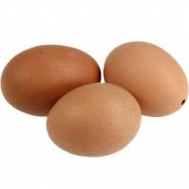 Kananmunat Ruskeat 10 kpl