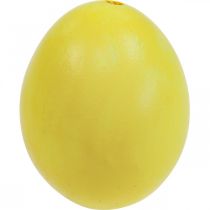 kohteita Pääsiäismunat Keltaiset puhalletut munat Kanamuna 5,5 cm 10 kpl