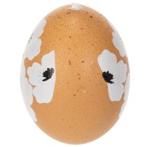 kohteita Pääsiäismuna-ripustuskoriste, kevät, pääsiäinen, aidot kananmunat, luonnonväriset, 6 cm, 6 kpl
