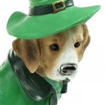 Beagle hattussa St. Patrick&#39;s Day -koira puvussa Garden Decor -koira H24,5cm