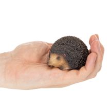 kohteita Siili-koristehahmo, pieni syksyn pöytäkoriste, 8cm