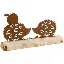 Ruosteinen siili deco koivuntuohi metalli syksykoristeet 20×4cm K10,5cm