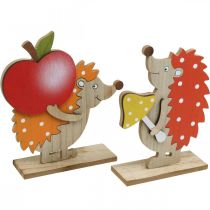 Syksyn hahmo, siili omenan ja sienen kanssa, puinen koriste oranssi/punainen H24/23,5cm 2 kpl setti