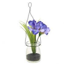 Iris lila lasissa ripustettavaksi H21.5cm