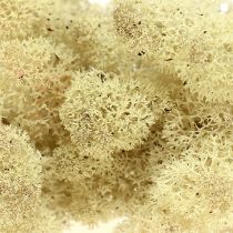 Poro sammalluonto 400g