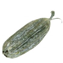 Loofah hedelmä vihreä 14cm 10kpl