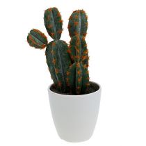 Keinotekoiset kaktukset ruukussa 20cm