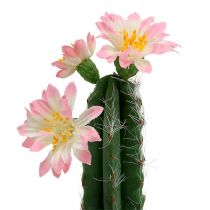 Kaktus ruukussa, vaaleanpunainen H 21cm