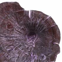 Kalix sieni violetti, valkoinen pesty 100kpl