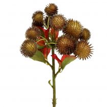 Kastanjanruskea ruskea 32cm