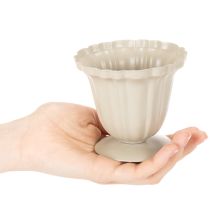 kohteita Koristeellinen kulho, kermanvärinen palkinto, pieni, 10 cm