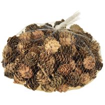 kohteita Männynkäpyjä, luonnonvärisiä pieniä käpykoristeita verkossa, 2,5-3,5 cm, 300 g