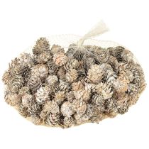kohteita Valkaistut kävyt, pienten käpyjen koriste verkossa, 2,5-3,5 cm, 500 g