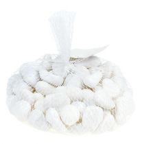 kohteita Kivet verkossa Valkoinen 2,5cm - 4cm 1kg
