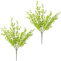 kohteita Clover Dwarf Clover Keinotekoiset kasvit vihreänä Pickissä 49cm 2kpl